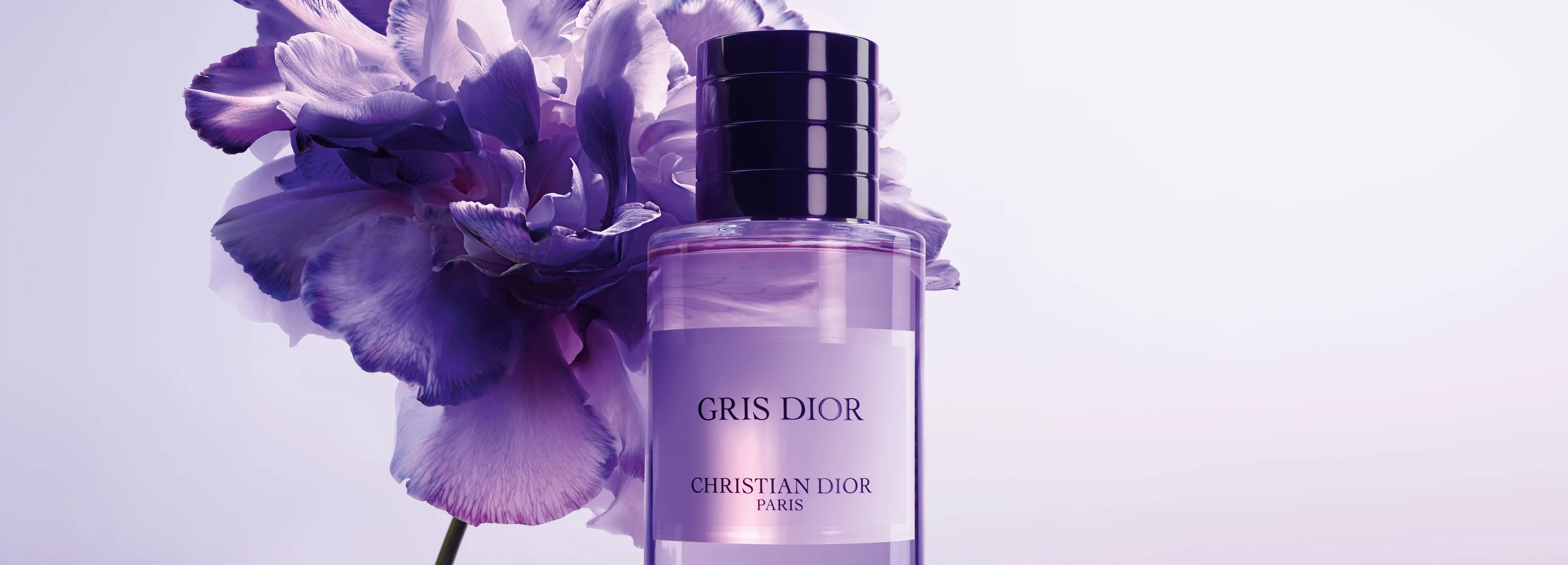 Christian Dior Gris Dior
